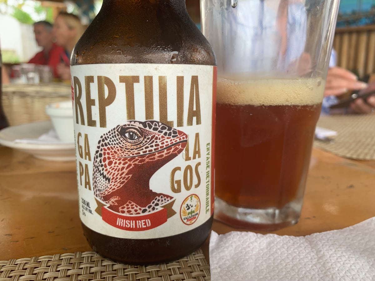 Reptilia label with a drawing of a lizard