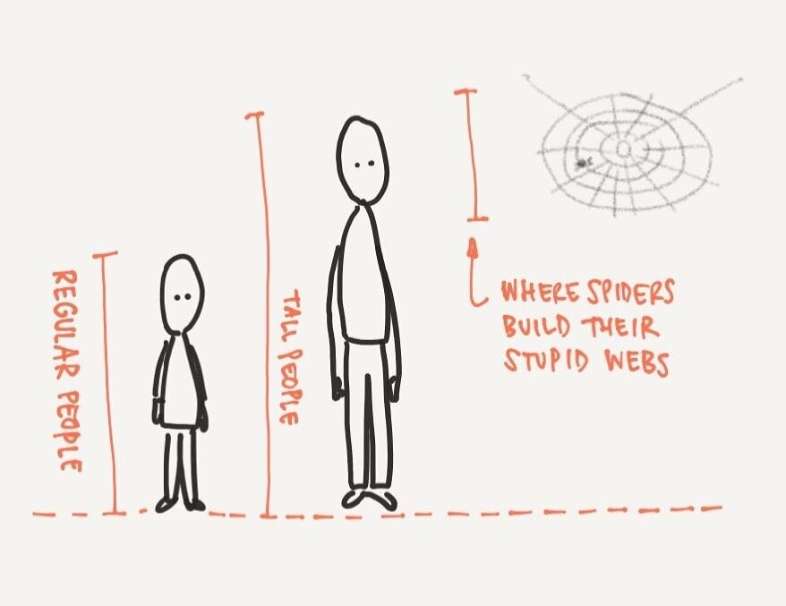 Graphic showing that tall people run into spider webs but regular people don’t